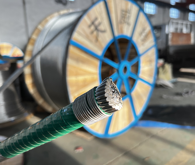 钢芯铝绞线与绝缘导线 新疆电力网络的关键组件